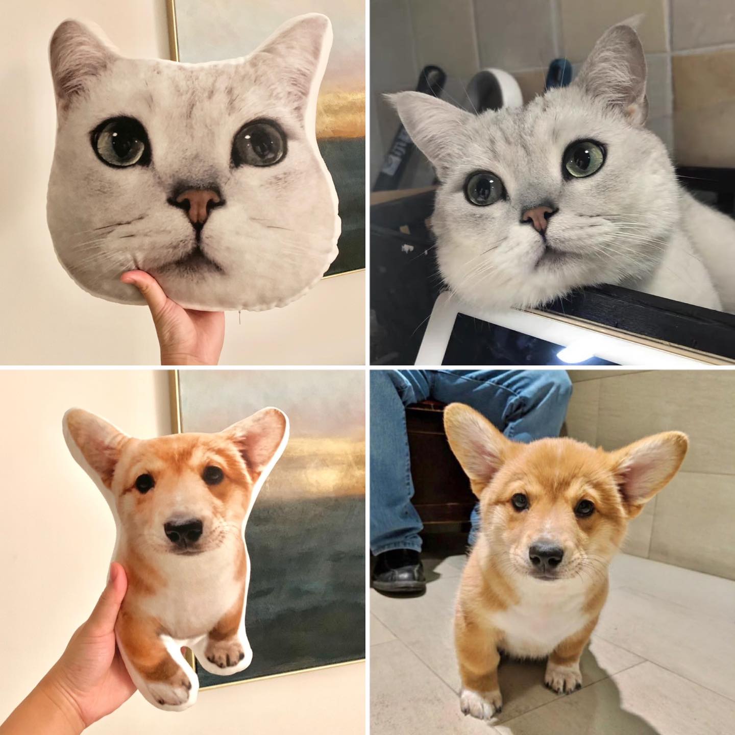 Clone Any Photo into a Pillow