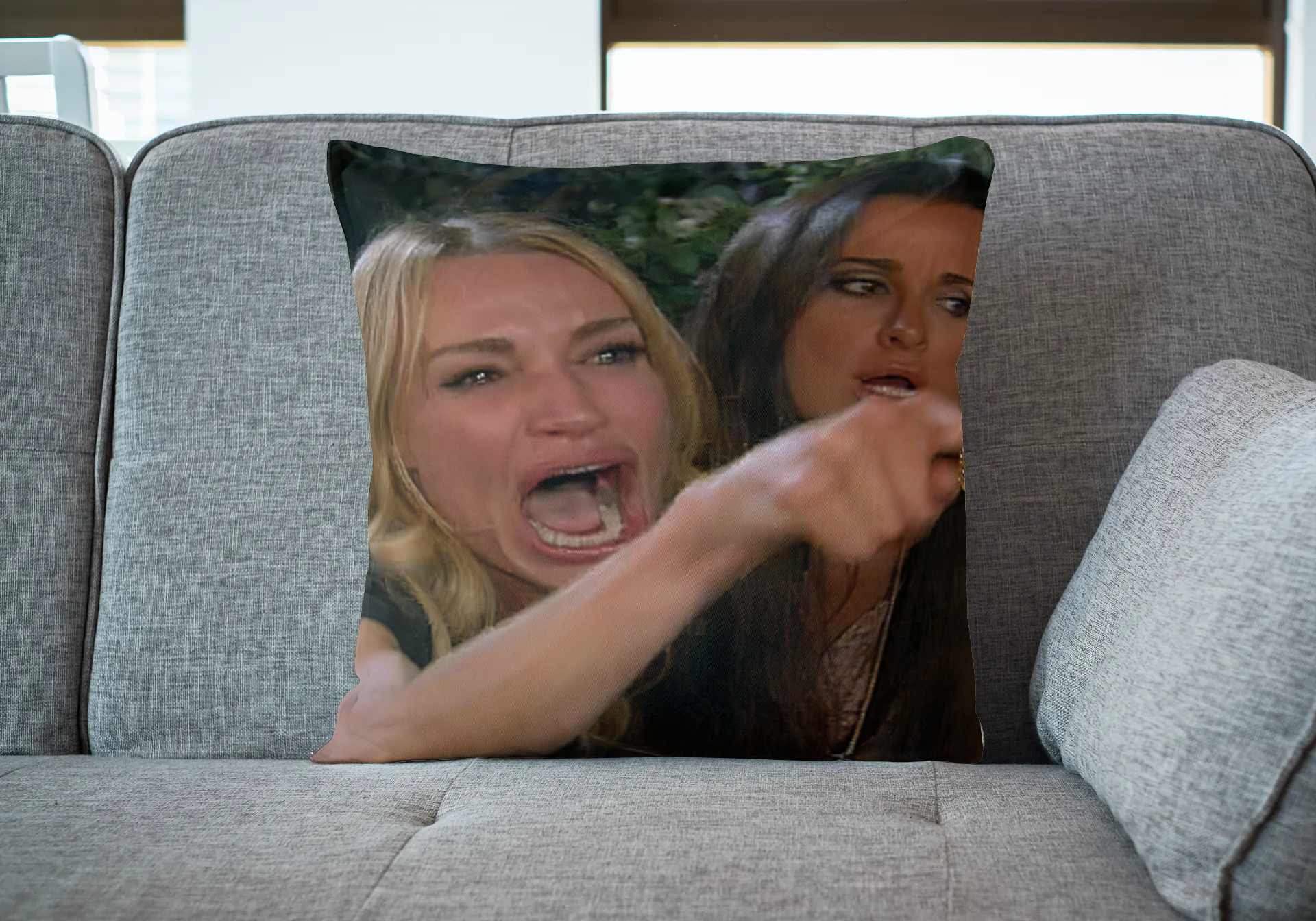 Woman Yelling at Cat Pillow (Woman)